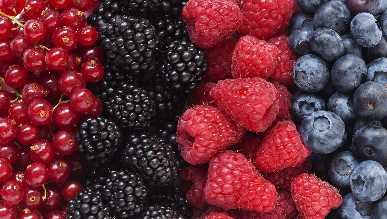 Hi-res photo of various berries